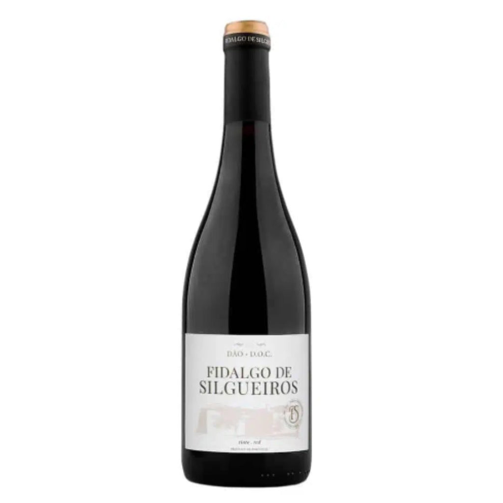 V. Tinto FIDALGO DE SILGUEIROS 0.75L (DAO)