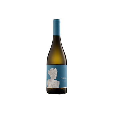 V. BRANCO DIWINE 0.75L (DOURO)